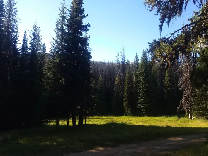HORSE HEAVEN CABIN photo 2
