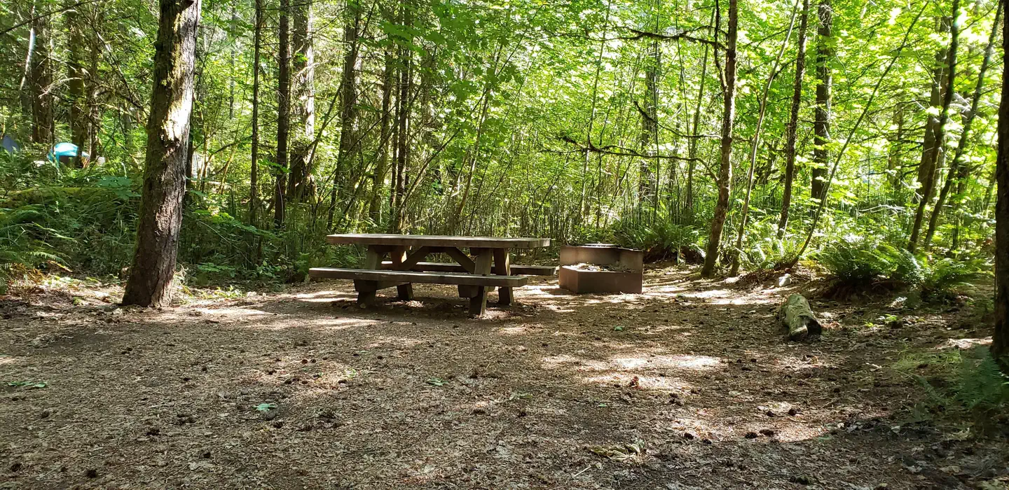 HORSESHOE BEND CAMPGROUND (OR) photo 2