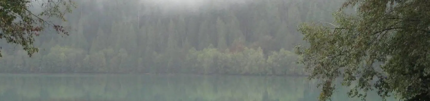 Horseshoe Cove Campground photo