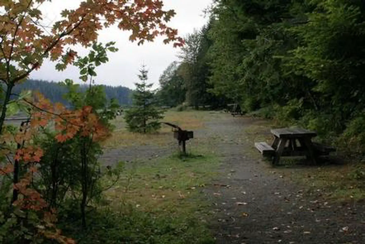 Horseshoe Cove Campground photo 4