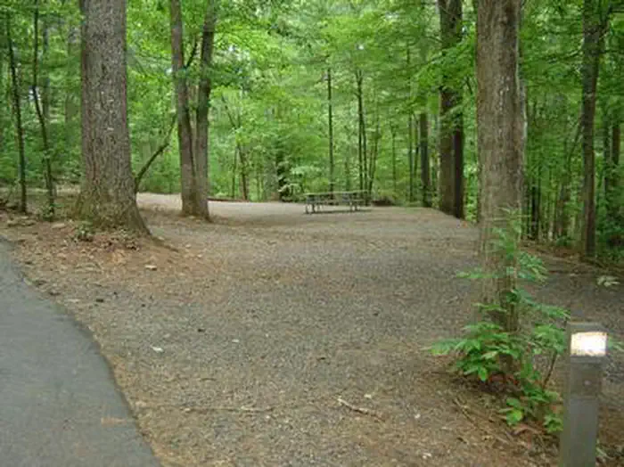 HORSESHOE POINT photo 5