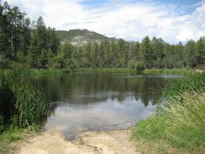 HORSETHIEF CABIN photo 2