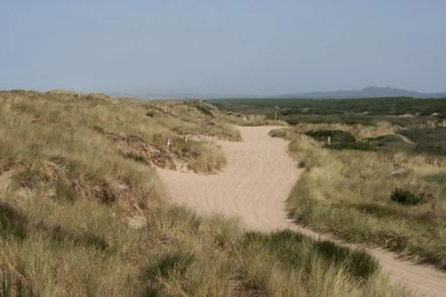HORSFALL BEACH photo 5