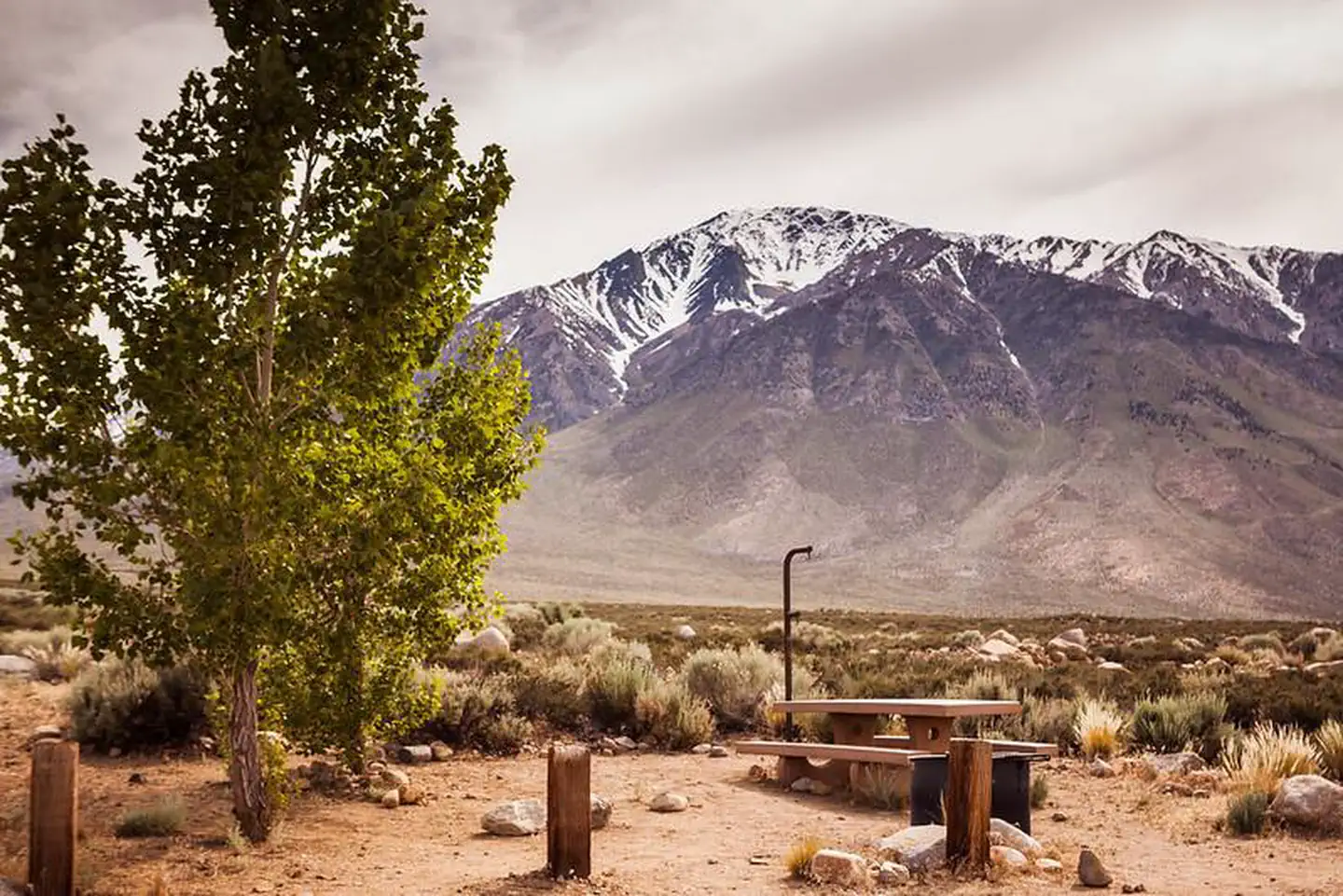 Horton Creek Campground photo