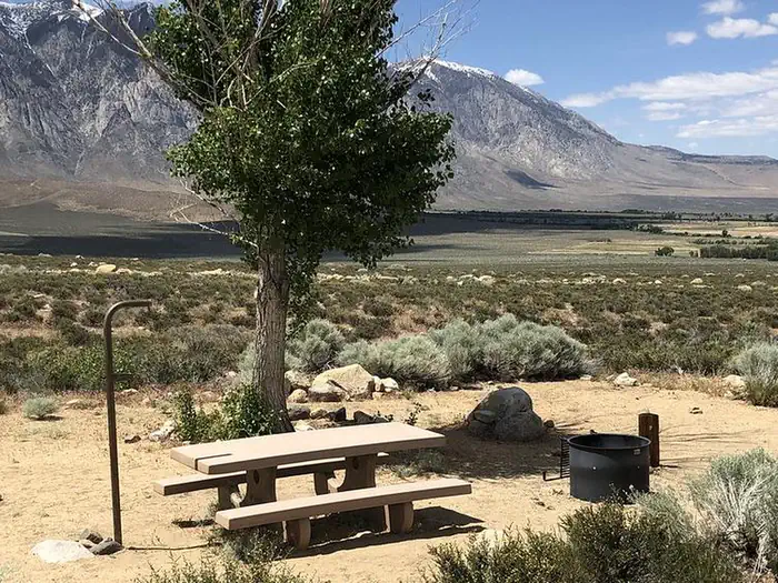 Horton Creek Campground photo 3