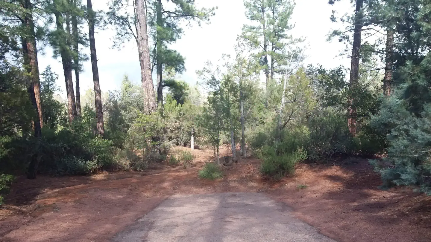 HOUSTON MESA photo