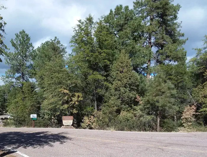 HOUSTON MESA photo 2