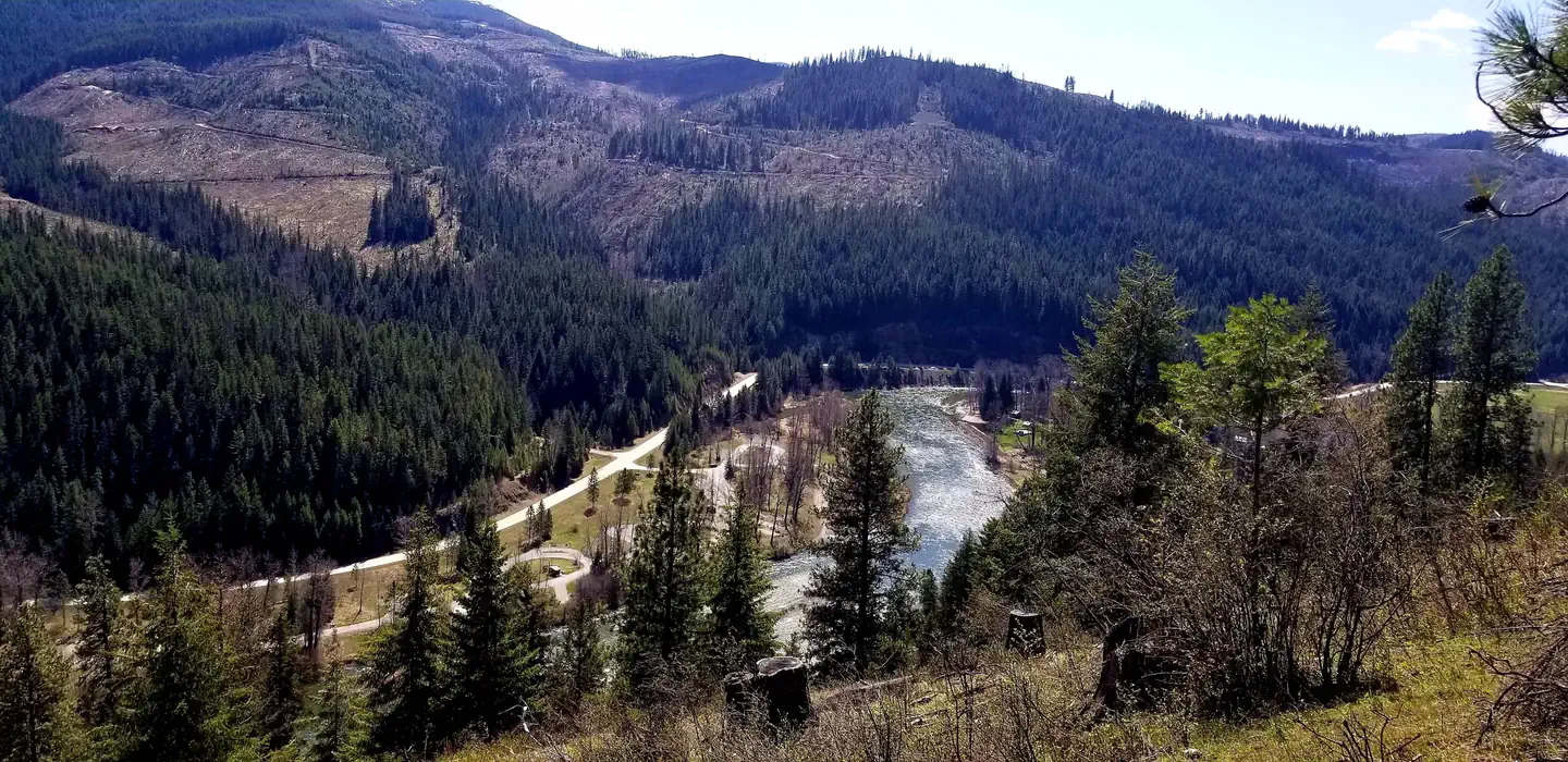 Huckleberry Campground photo 2