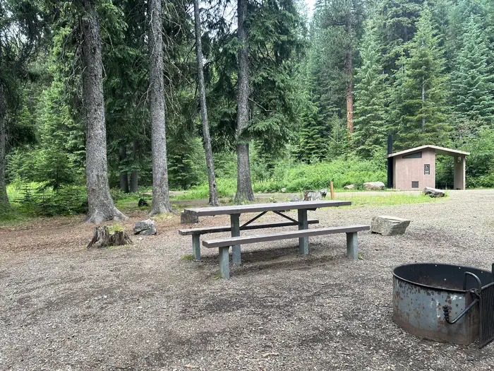 Huckleberry photo 2