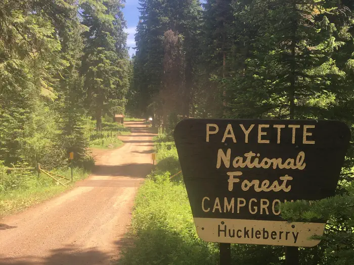 Huckleberry photo 3