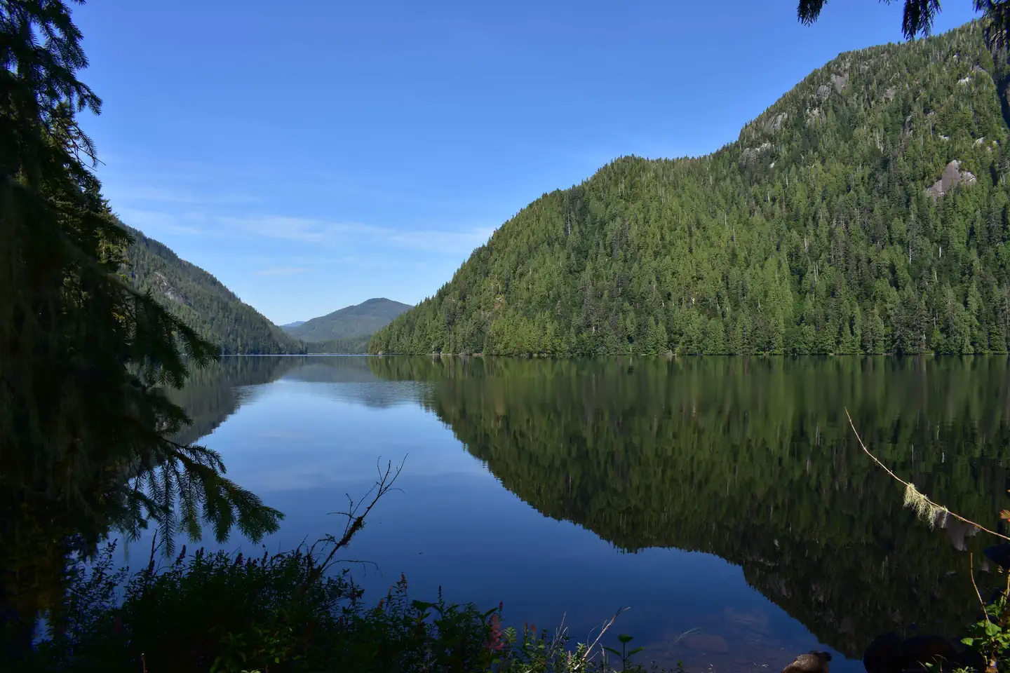HUGH SMITH LAKE CABIN photo 2