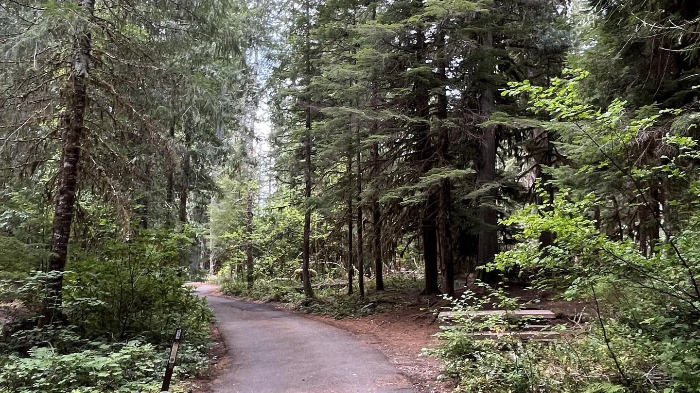 HUMBUG CAMPGROUND photo