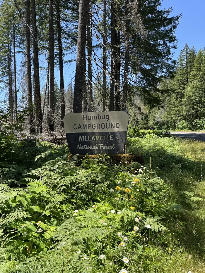 HUMBUG CAMPGROUND photo 3