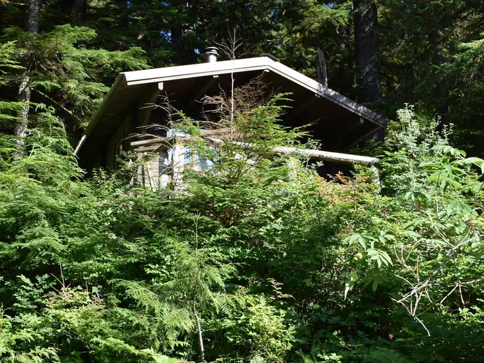 HUMPBACK LAKE CABIN photo 5