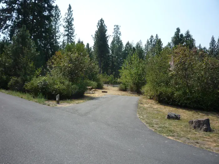 Hunters Campground photo 3