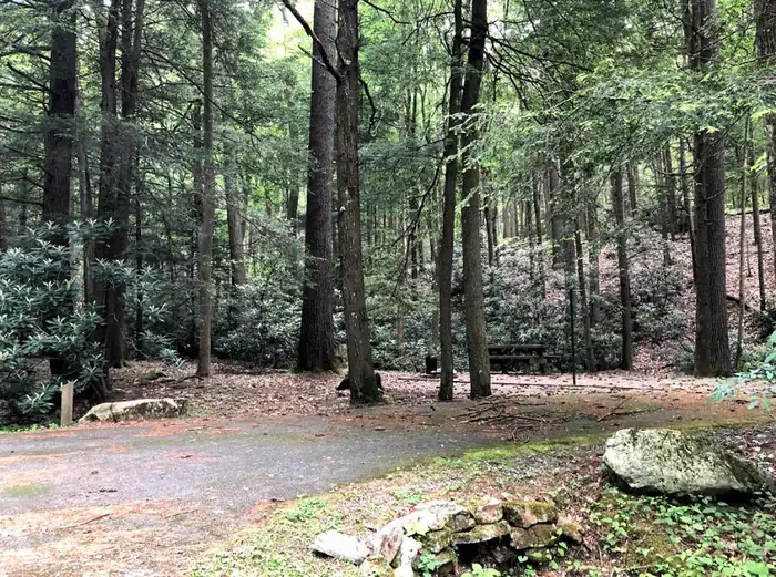 HURRICANE CAMPGROUND photo 2