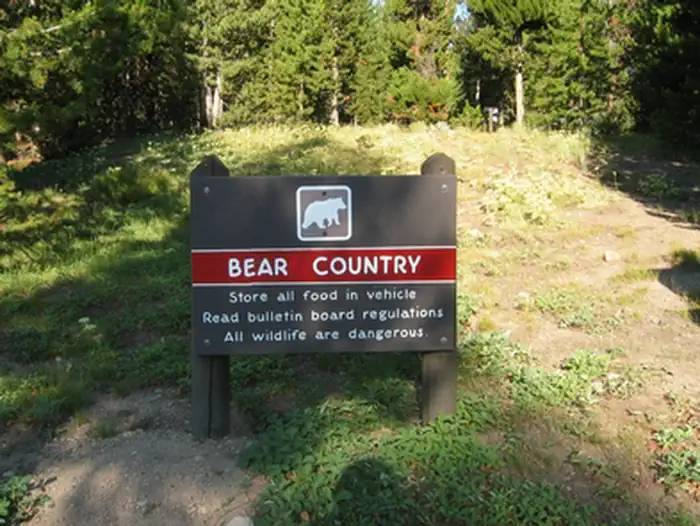 Indian Creek Campground (WY) photo 2