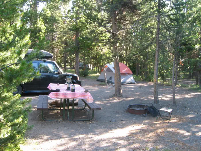 Indian Creek Campground (WY) photo 3