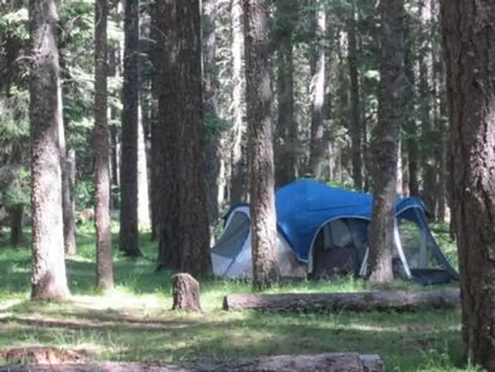 Indian Creek (WA) photo 3