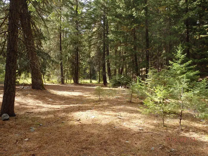 INDIAN FLAT GROUP SITE photo 3