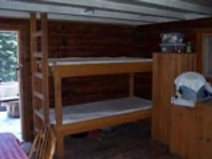 INDIAN FLATS CABIN photo 2