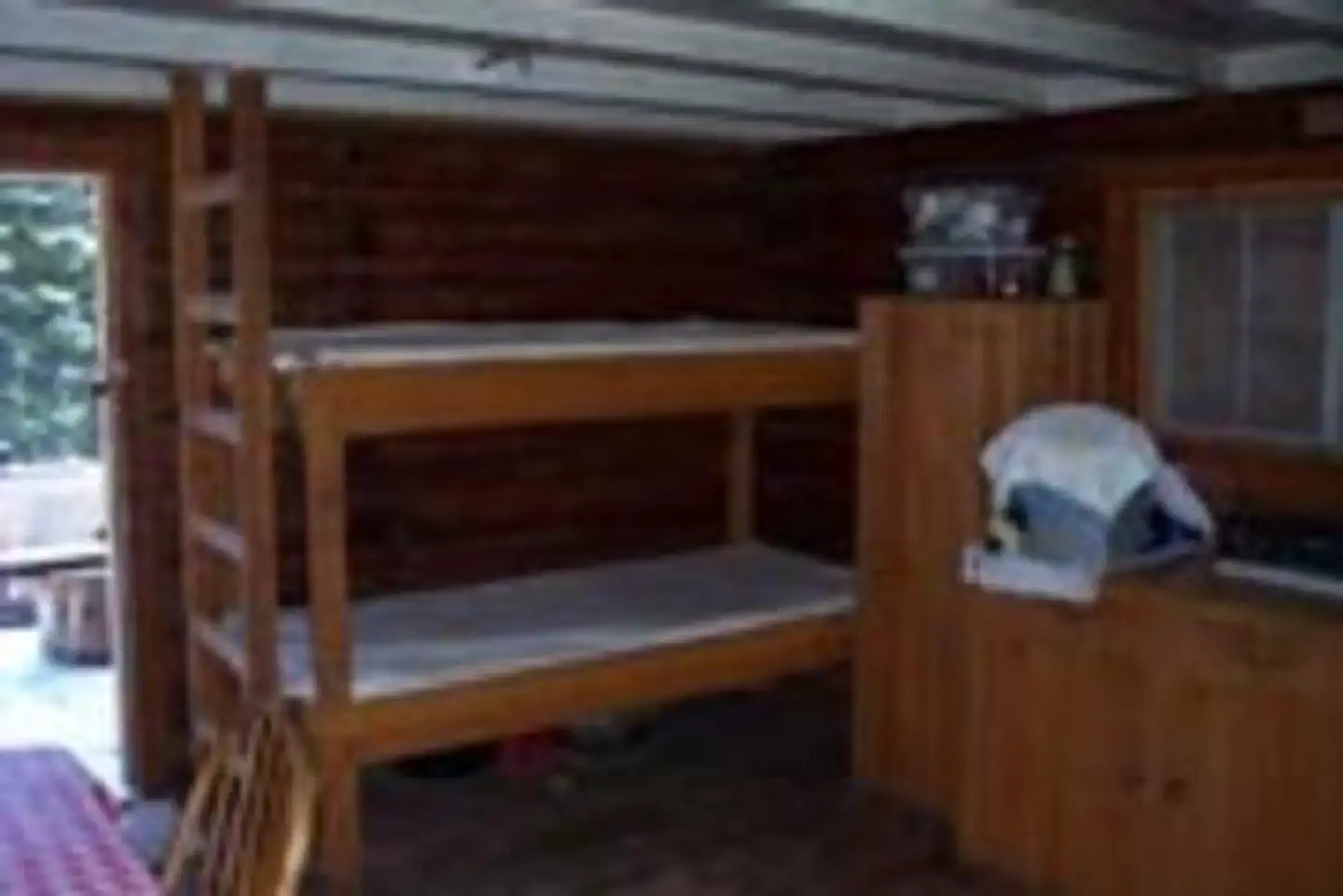 INDIAN FLATS CABIN photo 3