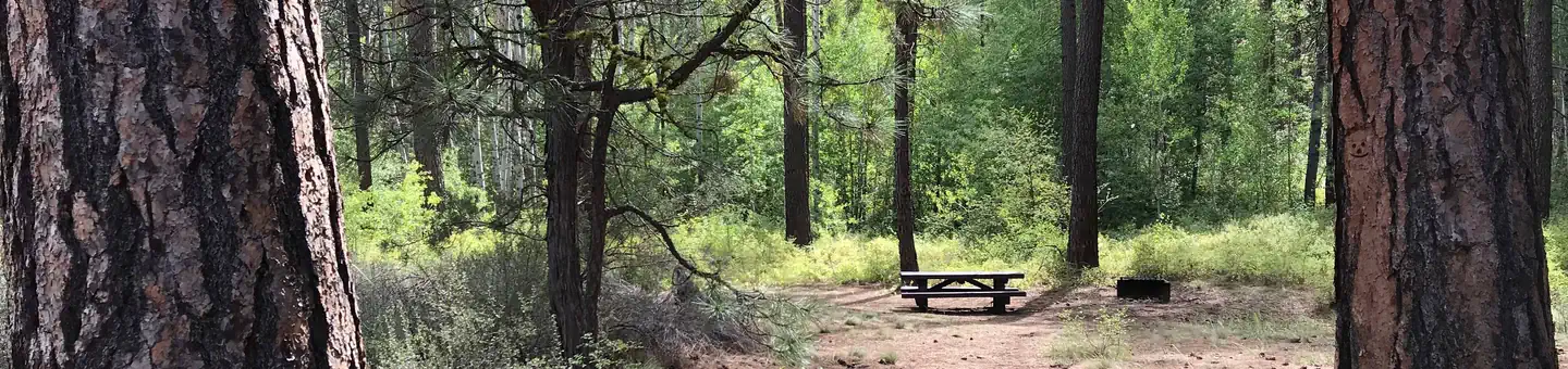 INDIAN FORD CAMPGROUND photo