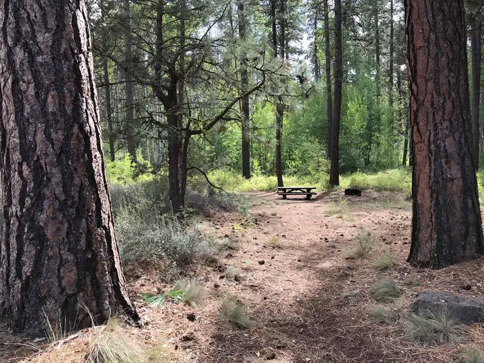 INDIAN FORD CAMPGROUND photo 2