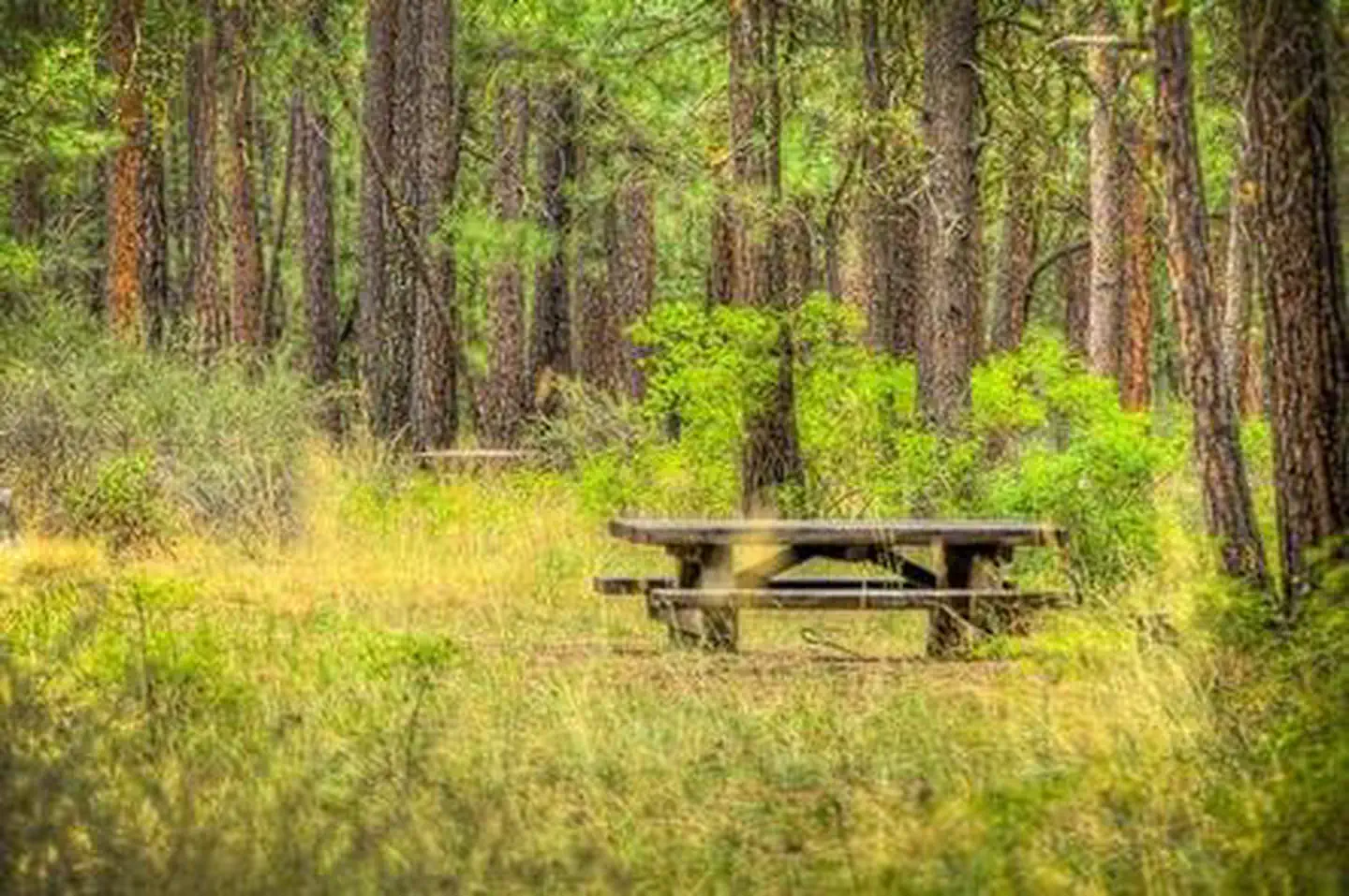 INDIAN FORD CAMPGROUND photo 4