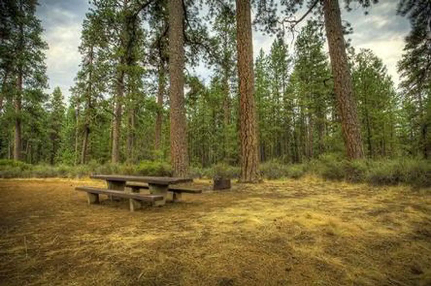 INDIAN FORD CAMPGROUND photo 5