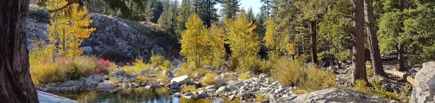 INDIAN SPRINGS photo