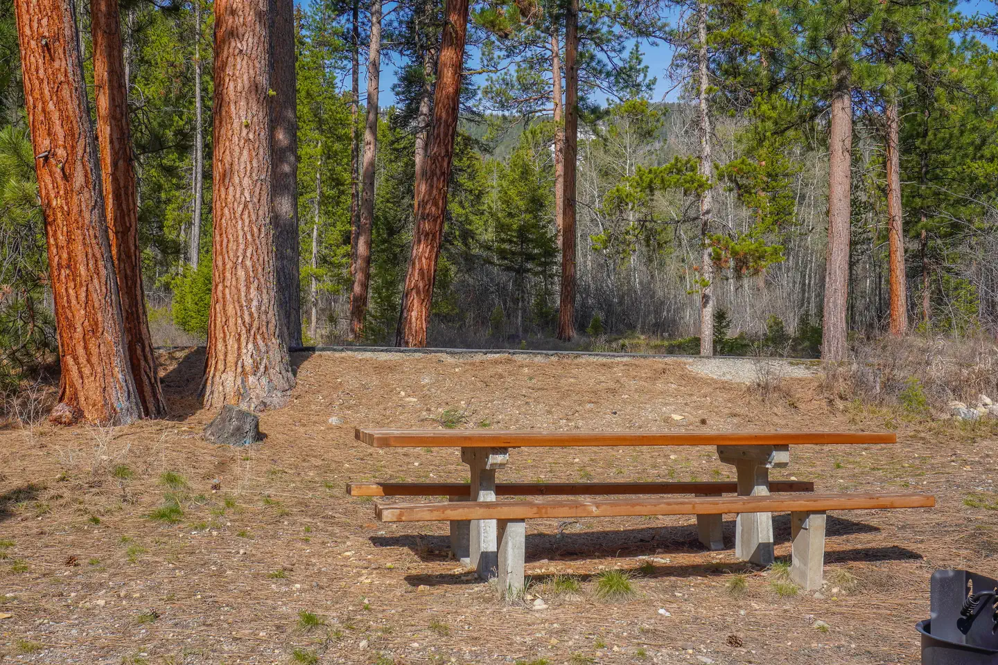 INDIAN TREES CAMPGROUND photo