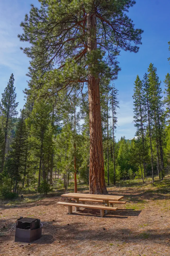 INDIAN TREES CAMPGROUND photo 2