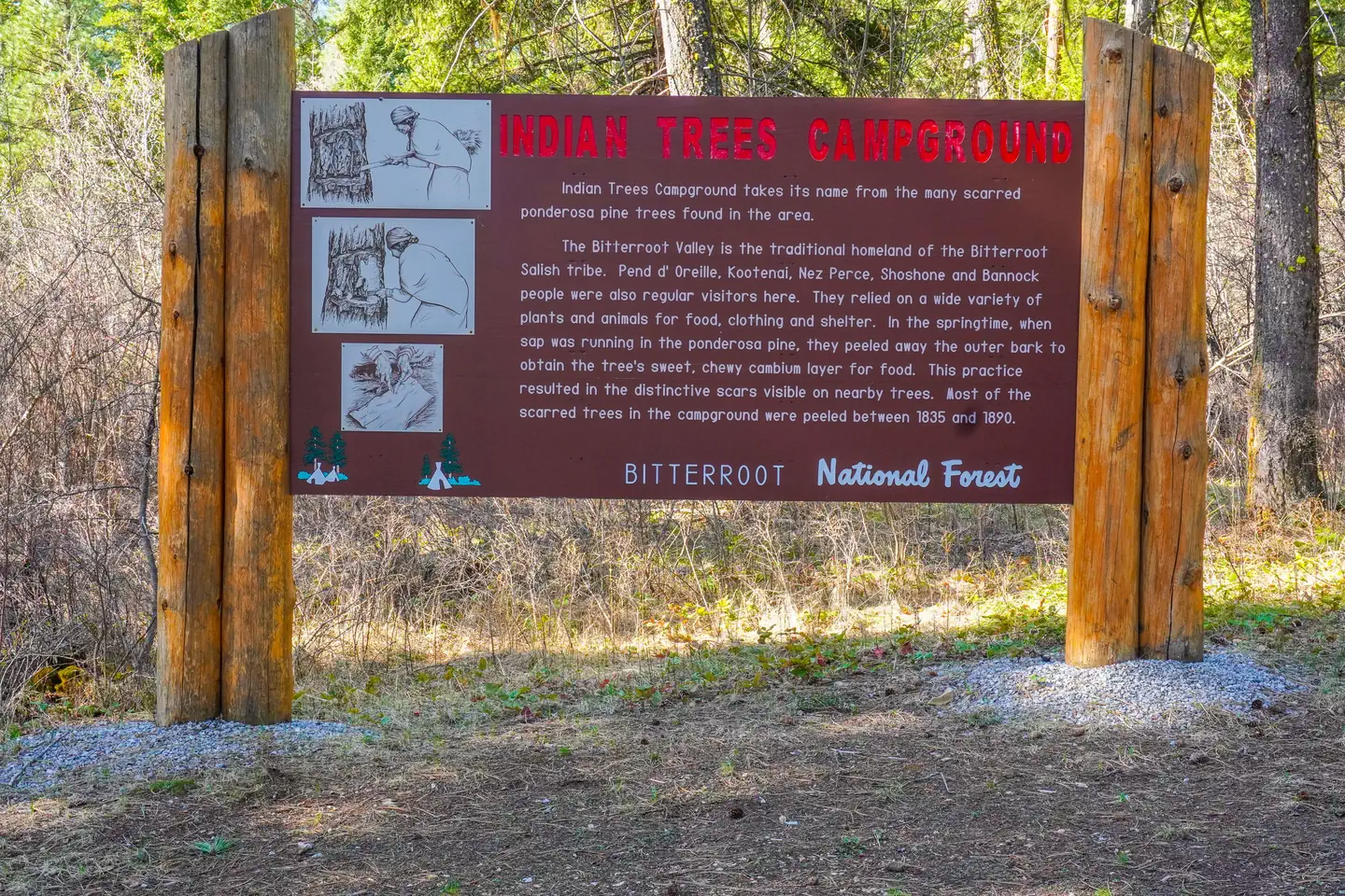 INDIAN TREES CAMPGROUND photo 5