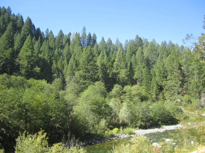 INDIAN VALLEY photo 2