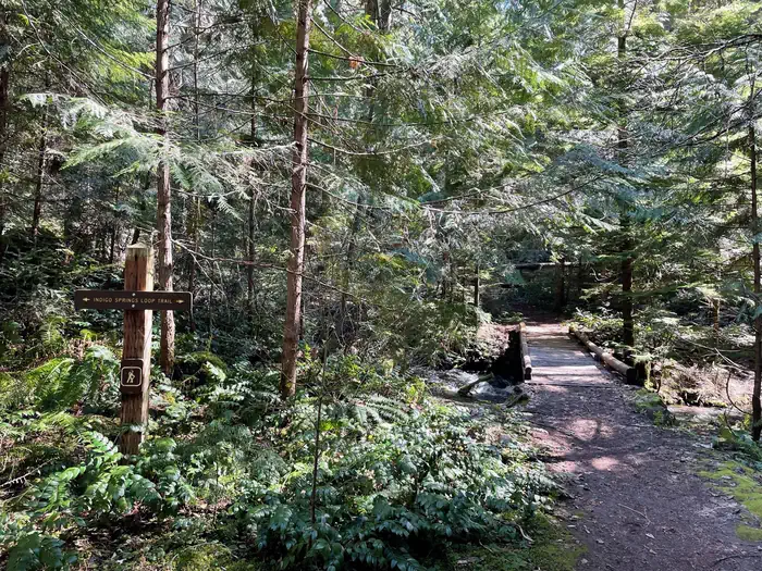 Indigo Springs photo 3