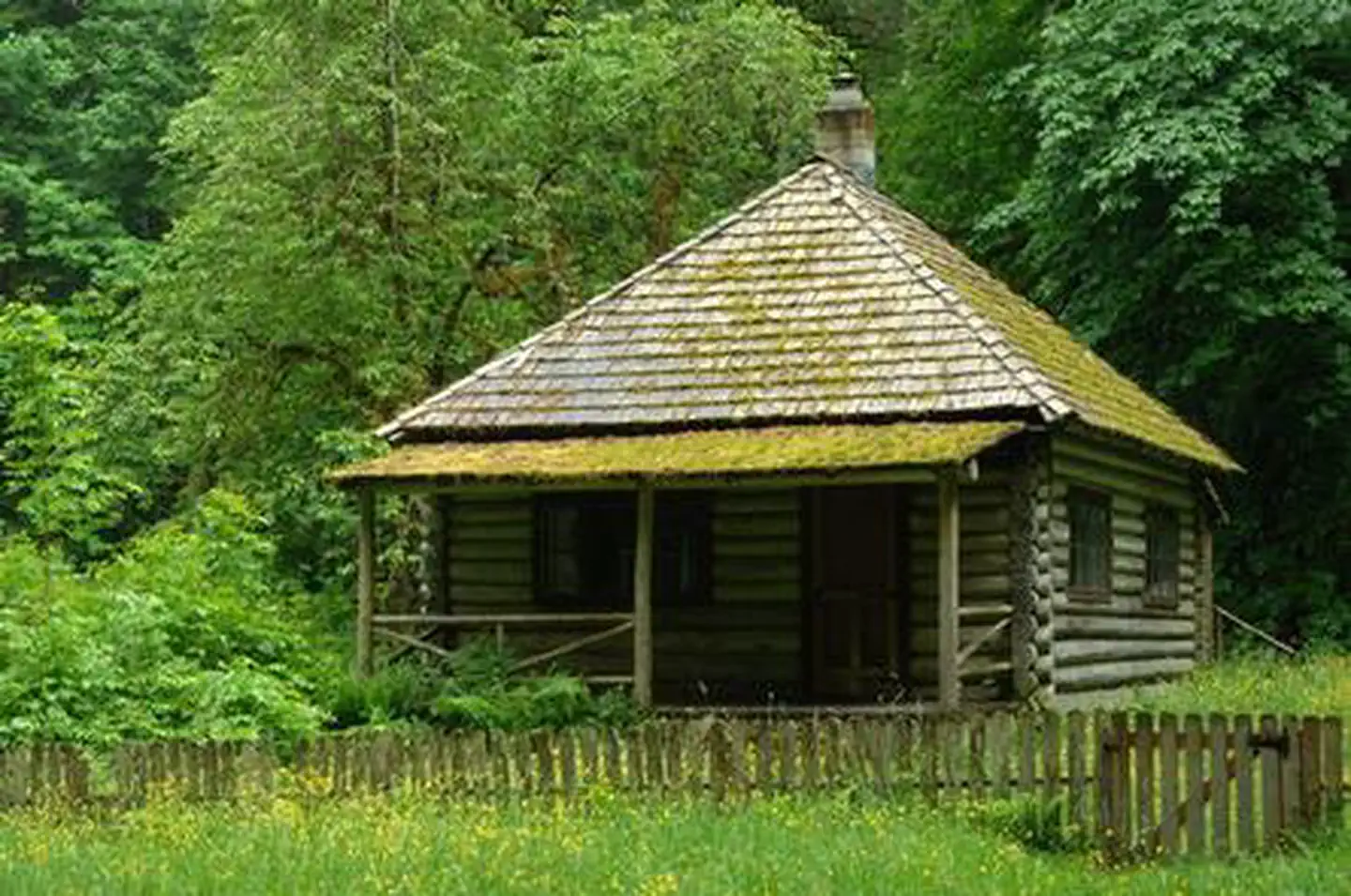 INTERROREM CABIN photo 4