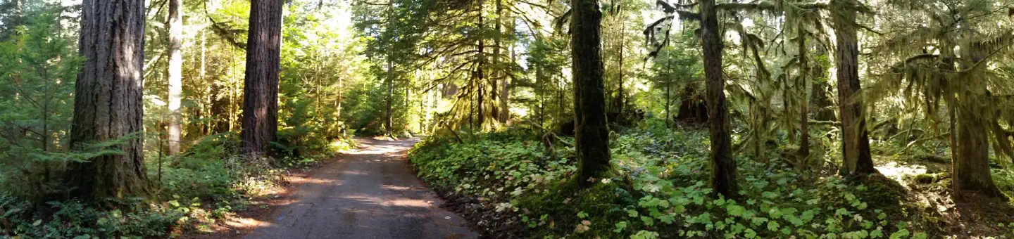 Iron Creek Campground photo