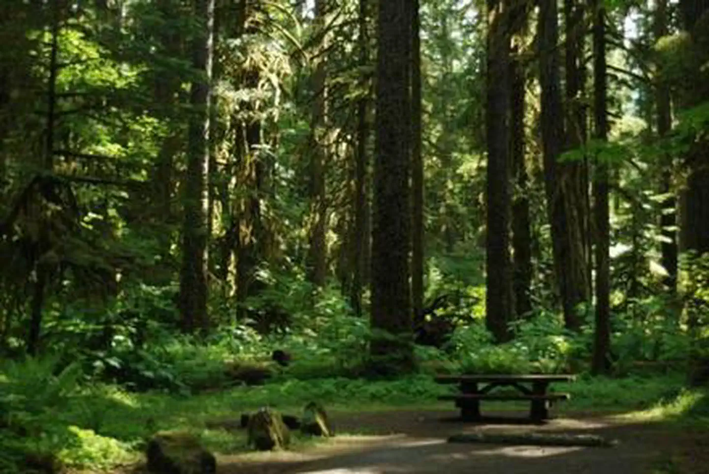 Iron Creek Campground photo 2