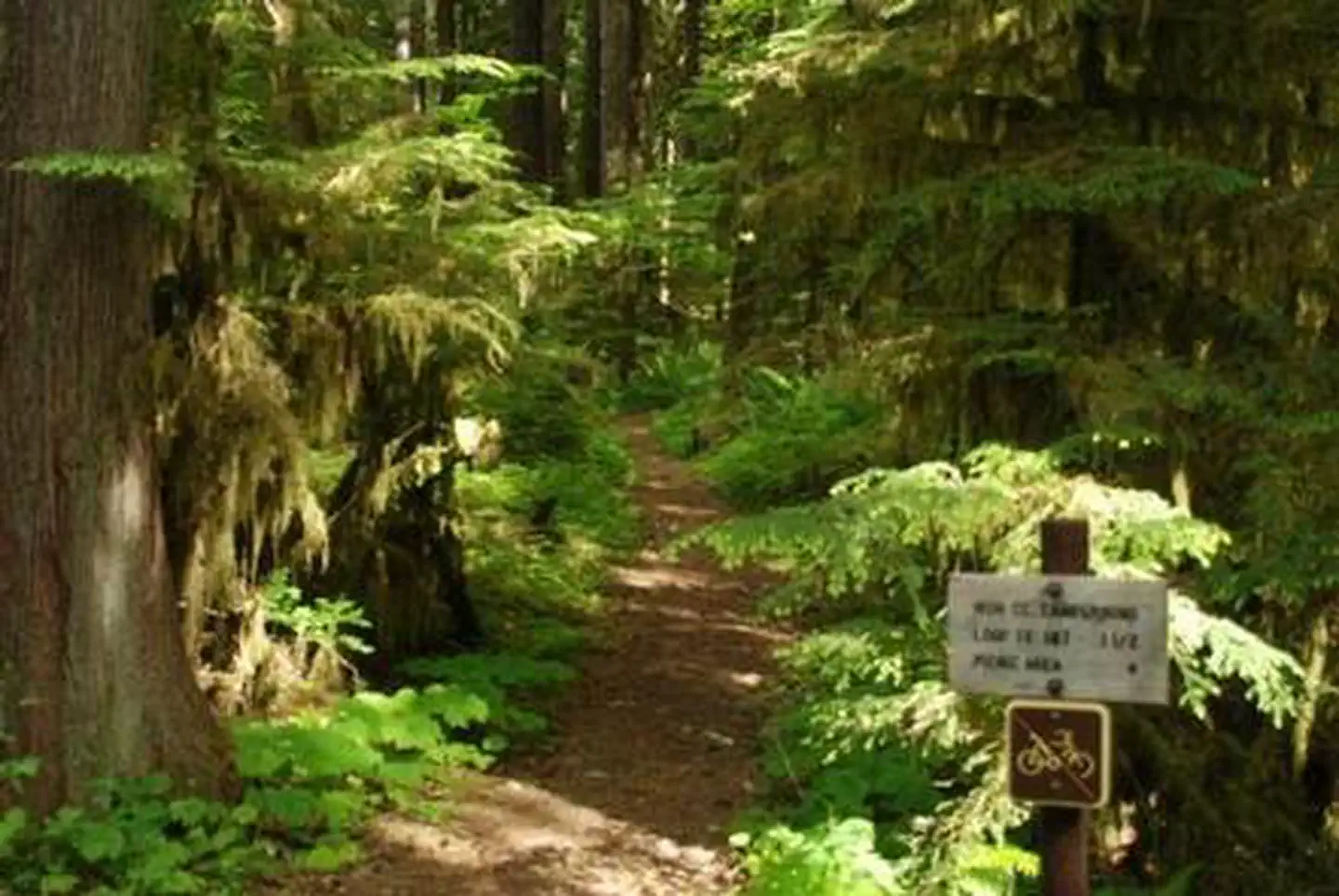 Iron Creek Campground photo 4