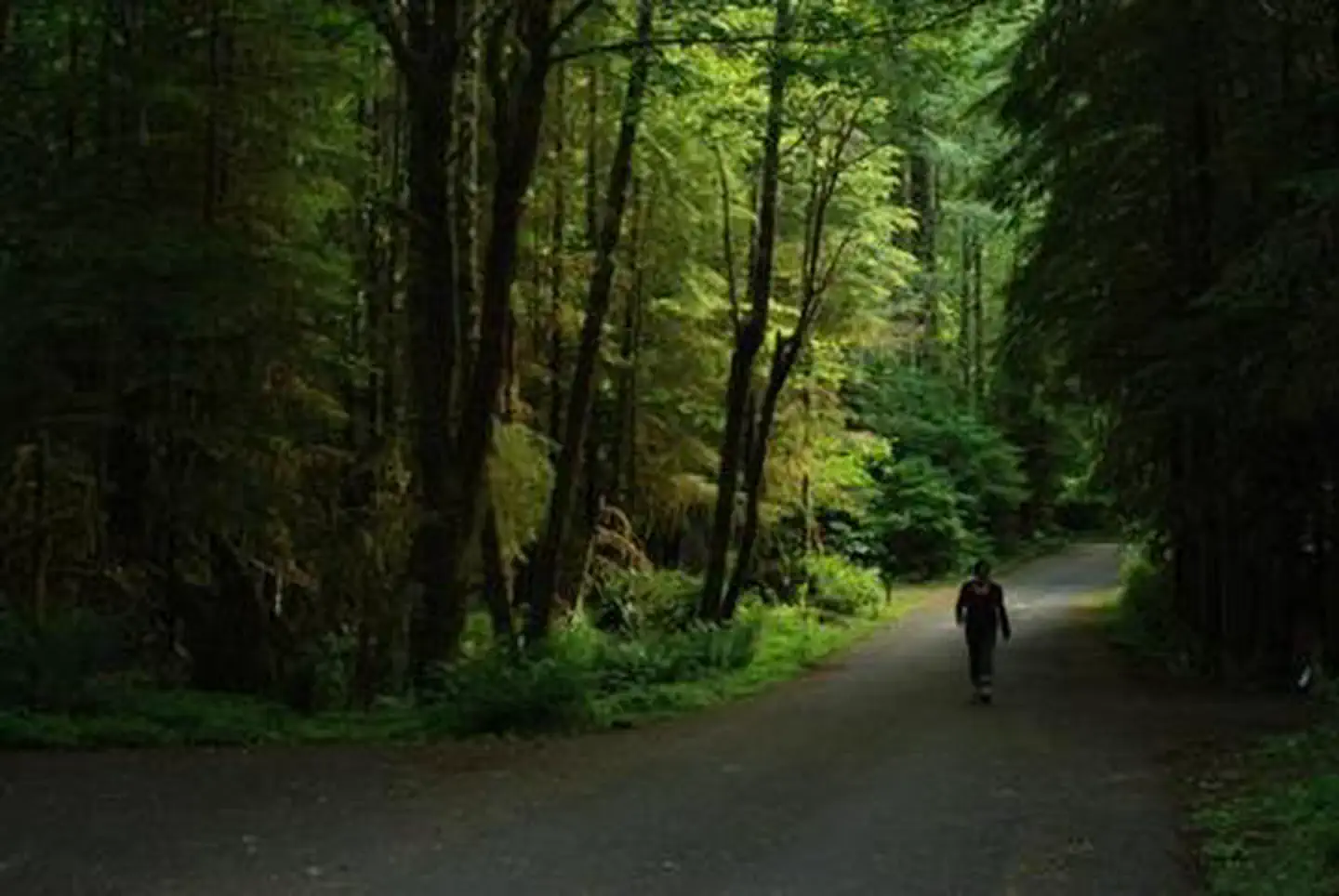Iron Creek Campground photo 5