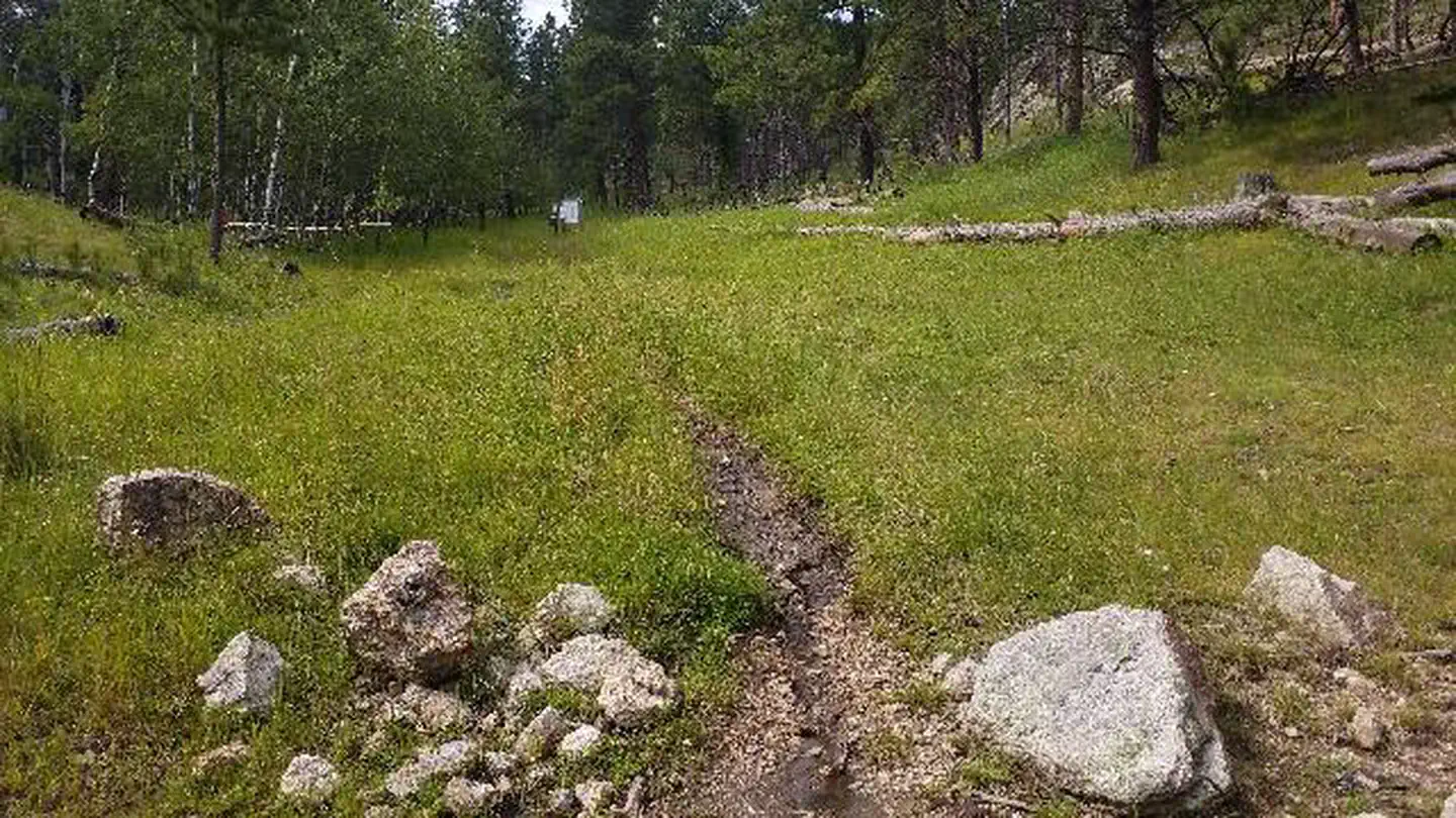 IRON CREEK HORSE CAMP photo