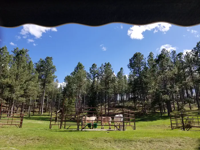 IRON CREEK HORSE CAMP photo 2