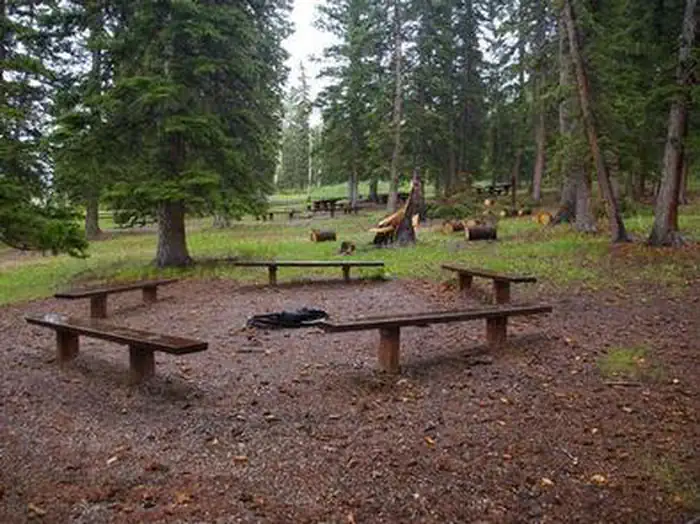 IRON SPRINGS GROUP ASHLEY photo