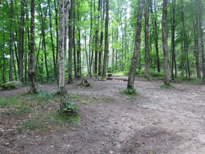 Ironjaw Lake Campsite photo 3