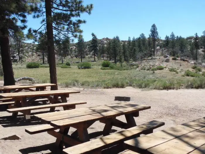 IRONWOOD GROUP CAMP photo 2