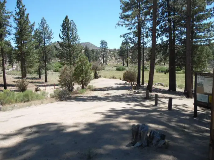 IRONWOOD GROUP CAMP photo 3
