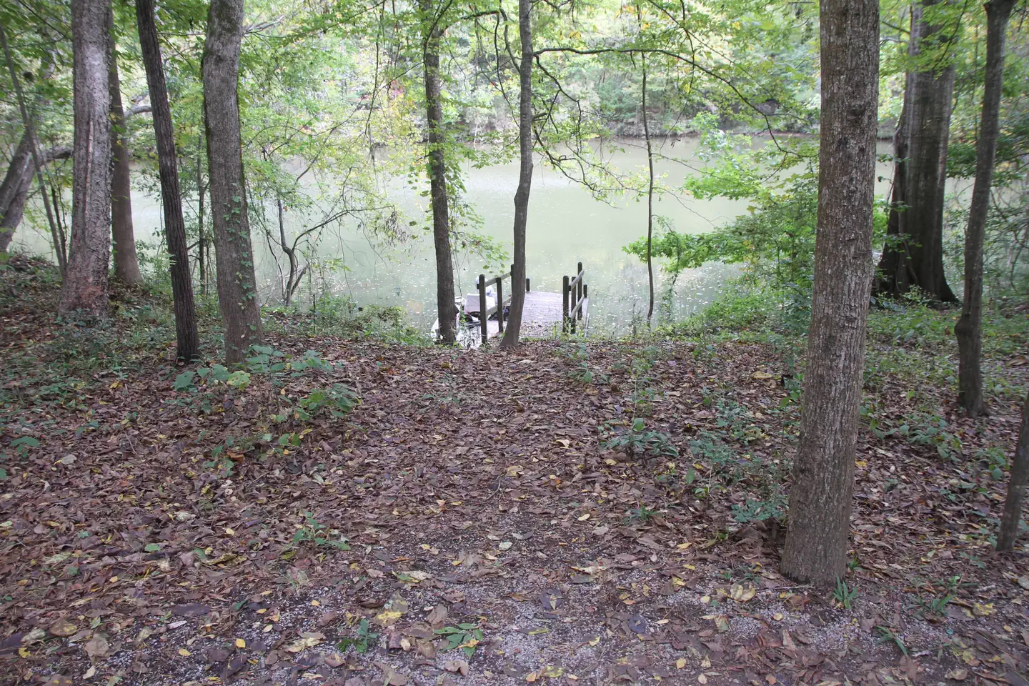 ISAAC CREEK photo 2