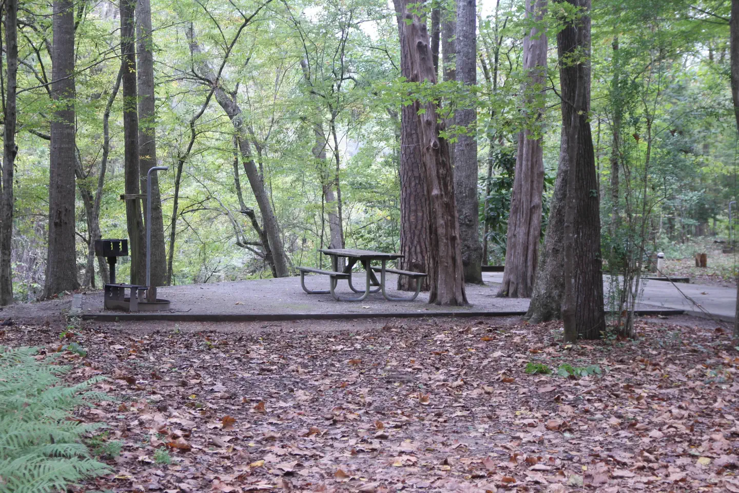 ISAAC CREEK photo 5