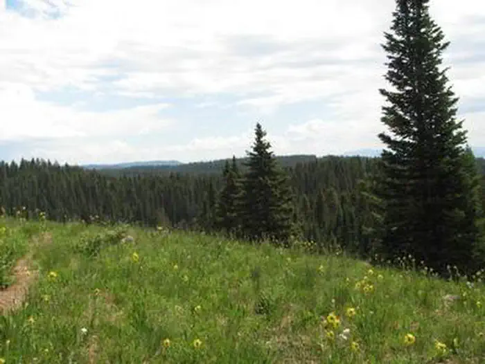 ISLAND LAKE CAMPGROUND photo
